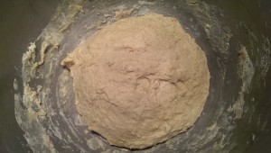 Rough ball of dough