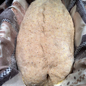 bread-shaped