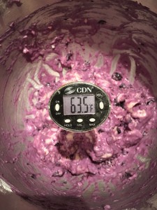 cold blueberry bagel dough