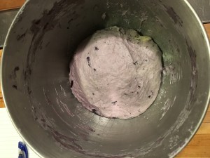 Blueberry Bagel Dough