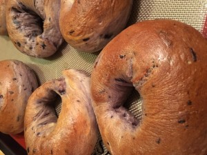 Blueberry Bagels