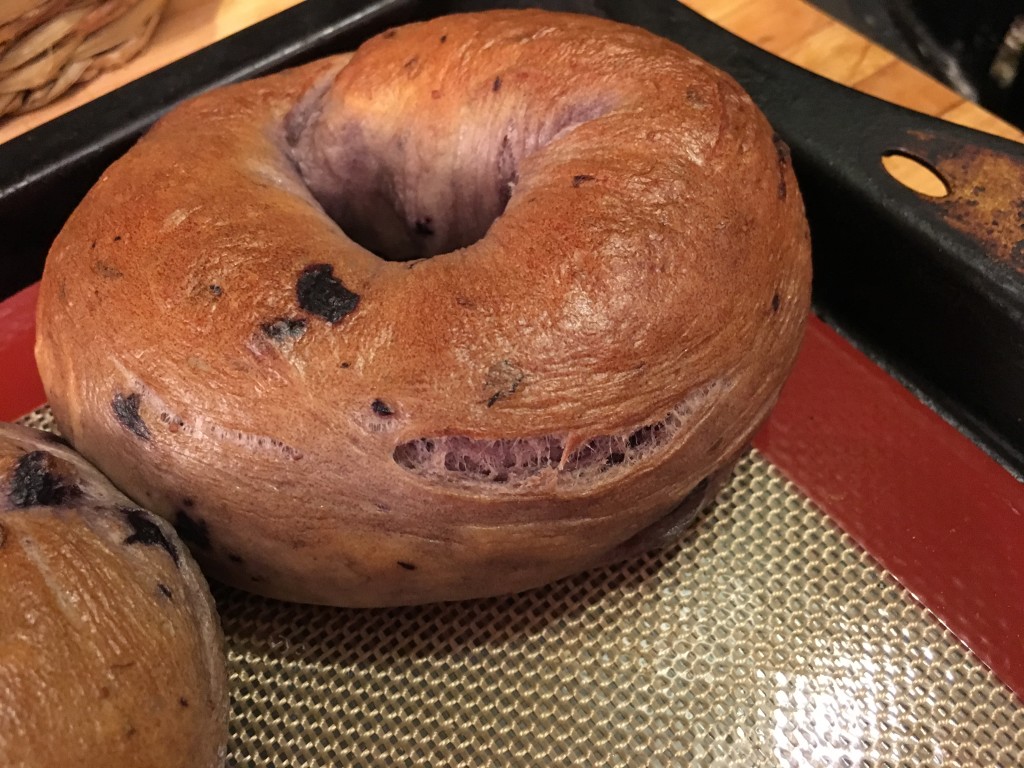 Blueberry Bagel