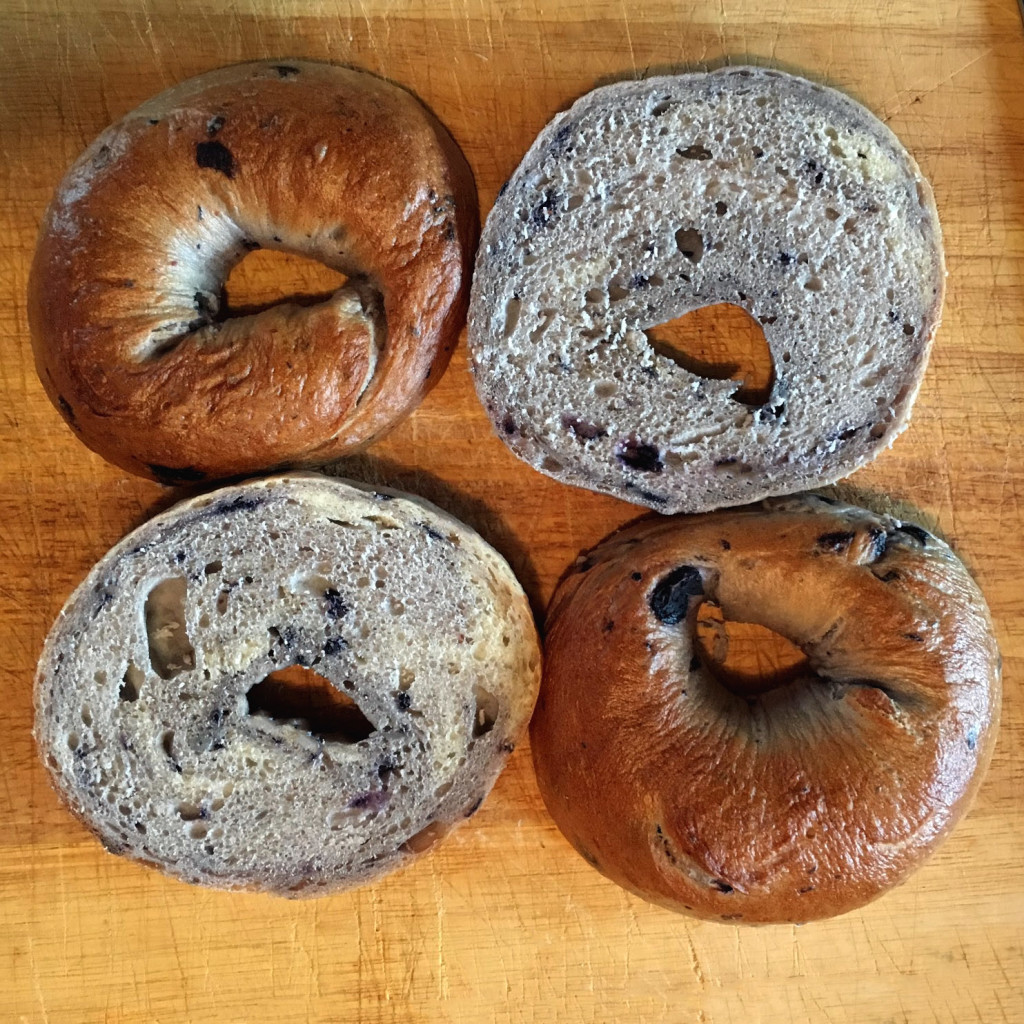 Blueberry Bagels