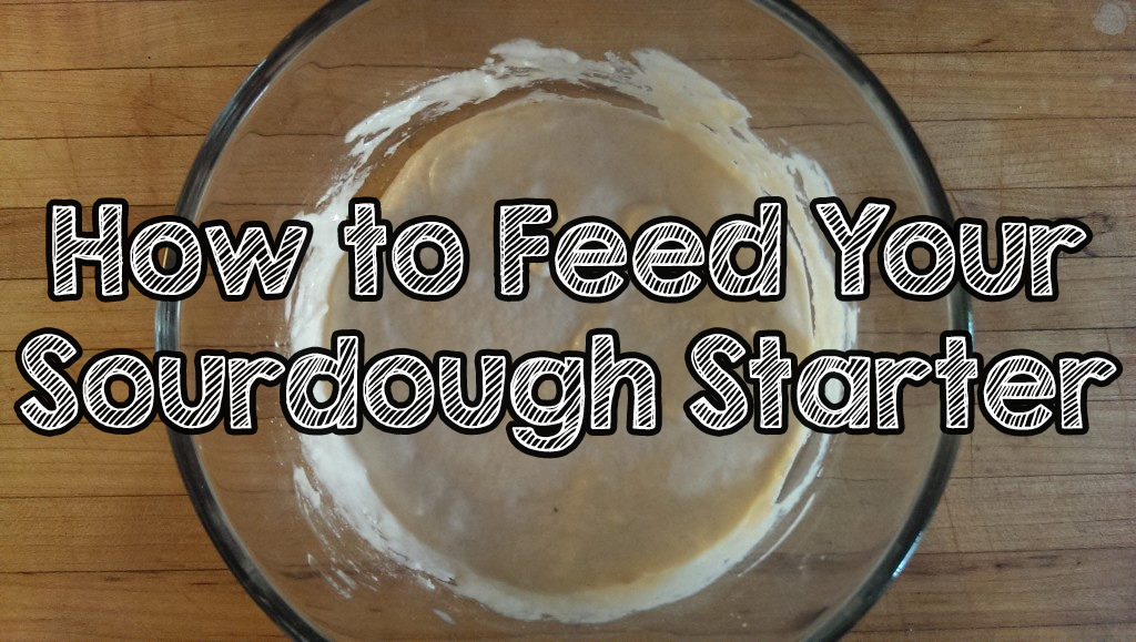 how to feed sourdough starter