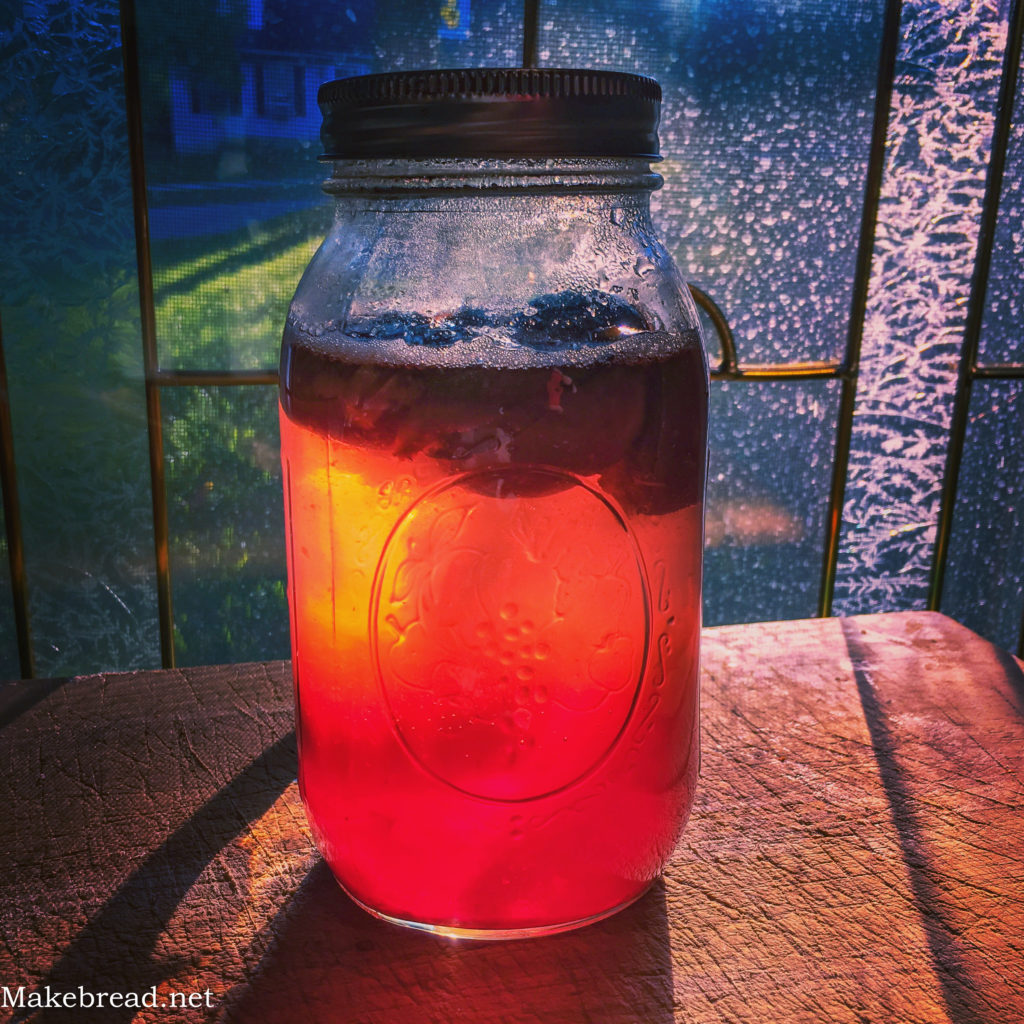 plum infused yeast water