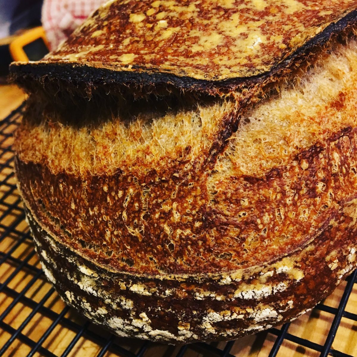 Easy Everyday Sourdough Bread